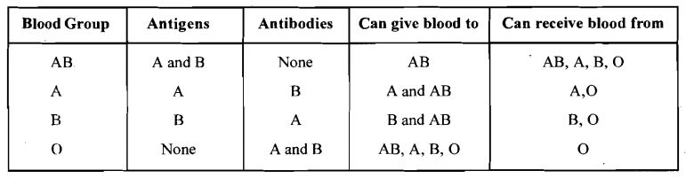 What Is Meant By Term Universal Recipient